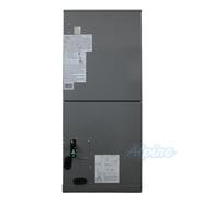 Blueridge BNGFA24DH2