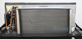 Photo of Amana PTC153G35AXXX (Item No. 689837) 14,000 BTU Cooling (1.2 Ton), 12,000 BTU Heating (1 Ton), 9.9 EER PTAC, 3.5kW Heat Strip, R-410A Refrigerant 46527