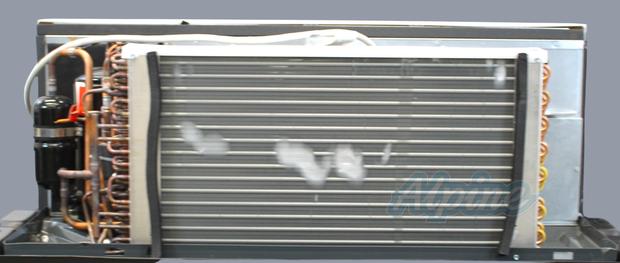 Photo of Amana PTH153J50AXXX (Item No. 740856) 14,600 BTU (1.22 Ton) Cooling, 14,300 BTU Heating, 10.4 EER Heat Pump PTAC, 5kW Heat Strip, R-32 Refrigerant 63775