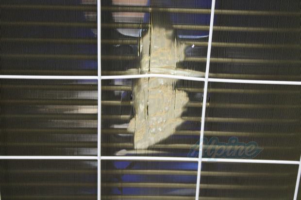 Blueridge BDS1A09SCV (Item No. 743103) photo 8 of 8