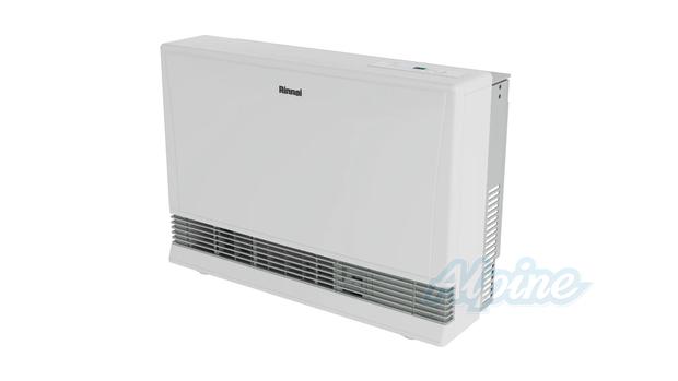 Rinnai EX38DTWN photo 1 of 8